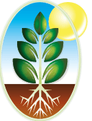 Al Qawafel